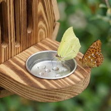 Lade das Bild in den Galerie-Viewer, Handgefertigtes Schmetterlingshaus Tropfenform aus Naturholz
